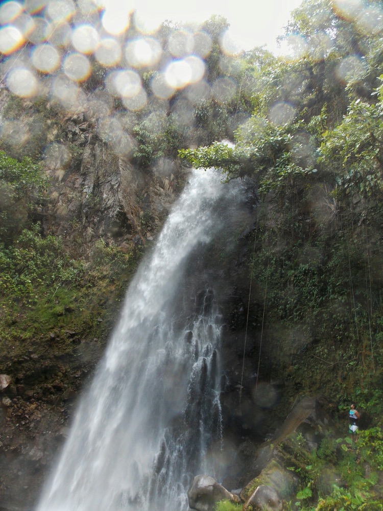 Rainforest waterfall in Panama